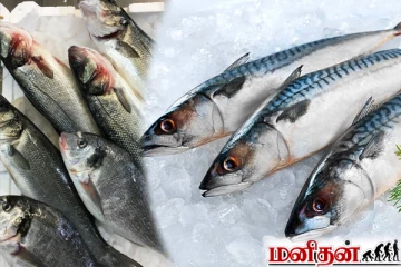 மழைக்காலங்களில் மீன் வாங்கும் போது ஏமாந்திடாதீங்க... இப்படித்தான் பார்த்து வாங்கனுமாம்