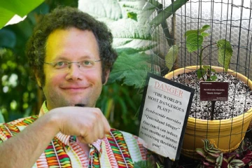 சலித்துப்போனதால்., தற்கொலைக்கு தூண்டும் ஆபத்தான செடியை வீட்டில் வளர்க்கும் பிரித்தானியர்!