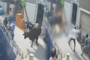 பள்ளி சிறுமியை ஆக்ரோஷமாக முட்டித்துாக்கி கீழே போட்டு கடுமையாக தாக்கிய பசு மாடு - தாய் கண் முன்னே நடந்த கொடூரம்..!