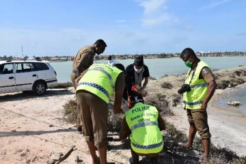 யாழில் நாயை கொடூரமாக கொலை செய்த இருவர் கைது - முதன்மை சந்தேகநபர் தலைமறைவு