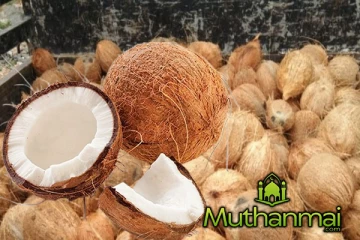 தேங்காய் பிரச்சினைக்கு விரைவில் தீர்வு!