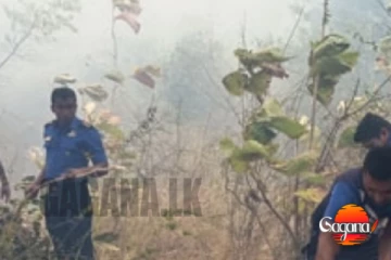 පුත්තලමේ රක්ෂිතයක් ගිනි ගනියි