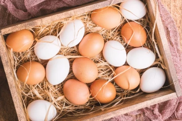 ஐந்து முட்டைகள் விற்றவருக்கு ஒரு இலட்சம் ரூபாய் அபராதம் - செய்திகளின் தொகுப்பு (Video)