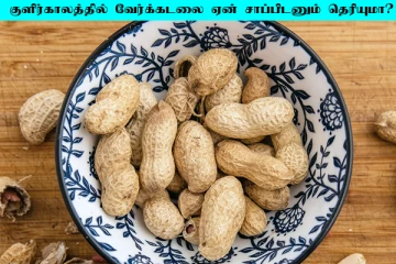 குளிர்காலத்தில் கட்டாயம் வேர்க்கடலை சாப்பிடுங்க... ஏன்னு தெரியுமா?