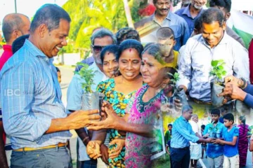 மரநடுகை வாரம்: றீ(ச்)ஷாவால் வழங்கி வைக்கப்பட்ட 7000 கறுவா கன்றுகள்(படங்கள்)