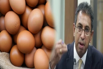 முட்டைக்கான நிர்ணய விலையை வழங்குமாறு ஹர்ஷ டி சில்வாவினால் வலியுறுத்தல்