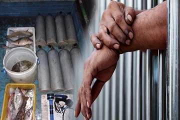 திருகோணமலையில் கடலட்டைகளுடன் ஐவர் கைது!