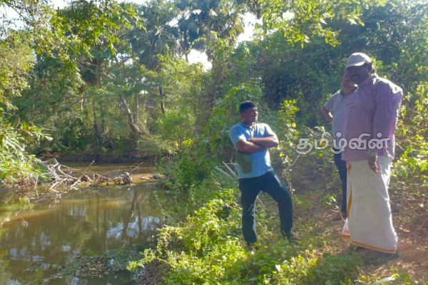 களமோட்டை வயலுக்குச் செல்வதற்கு ஆற்றுப்பாலம் இன்மையால் விவசாயிகள் அவதி | Farmers Suffer Due To Lack Of River Bridge