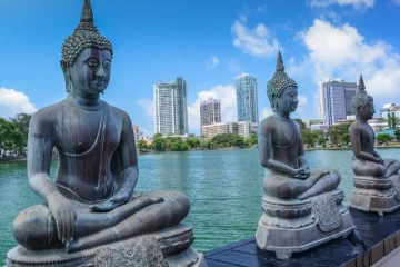 கொழும்பில் பெறுமதியான 3 இடங்களை விற்பனை செய்ய தயாராகும் அரசாங்கம்