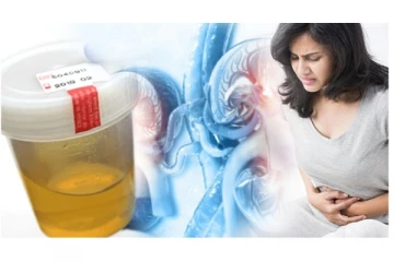 சிறுநீர் நுரை போன்று வெளியேறுகிறதா? காரணம் என்னென்னு தெரியுமா?