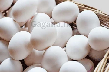 බිත්තර ගැන ඇහෙන ලංකාවටම සතුටු හිතෙන ආරංචිය මෙන්න..