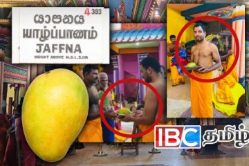 யாழில் பல இலட்சத்திற்கு ஏலம் போன ஒரு மாம்பழம்..! எவ்வளவு தெரியுமா