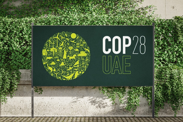 ஐக்கிய நாடுகளின் காலநிலை தொடர்பான மாநாடு : ரணில் விக்ரமசிங்கவால் முன்வைக்கப்படவுள்ள முன்மொழிவுகள்! | Ranil Wickremasinghe Three Proposals Cop28 Dubai