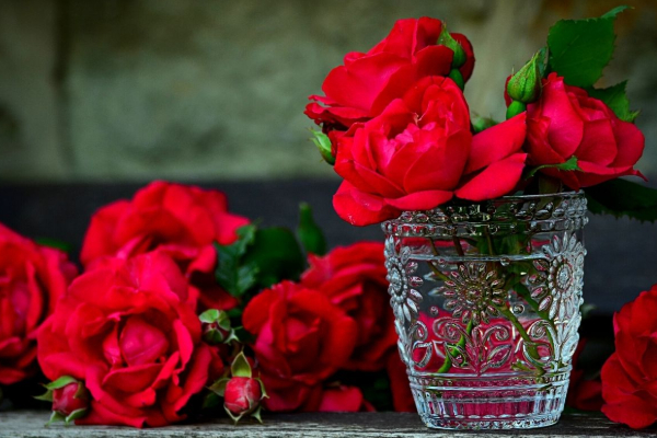 கொழும்பில் களைகட்டும் காதலர் தினம் - அதிகளவில் விற்பனையாகும் ரோஜா பூக்கள் | Sales Of Roses Are Booming In Colombo