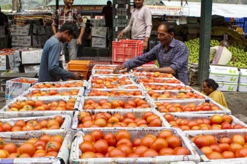 வரத்து குறைவு எதிரொலி..தக்காளி விலை 'கிடுகிடு' உயர்வு - அவதியில் மக்கள்!