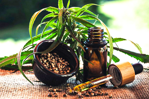 கஞ்சா ஏற்றுமதி தொடர்பில் அரசாங்கத்தின் புதிய தீர்மானம்! | Export Of Cannabis