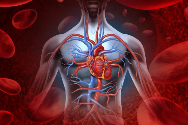 காலையில் வெறும் வயிற்றில் ஏலக்காய் சாப்பிடுவதால் என்னென்ன நன்மைகள் கிடைக்கும் தெரியுமா? | Every Morning Eat Cardamom Benefits Available காலையில் வெறும் வயிற்றில் ஏலக்காய் சாப்பிடுவதால் என்னென்ன நன்மைகள் கிடைக்கும் தெரியுமா? | Every Morning Eat Cardamom Benefits Available