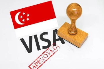 சிங்கப்பூர் விசாவின் வகைகள் மற்றும் அதனை எப்படி பெறுவது? முழுமையான தகவல்கள்