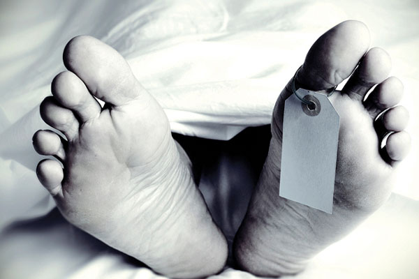 பேரனால் கூரிய ஆயுதத்தால் தாக்கப்பட்டு உயிரிழந்த பெண் | Women Death Attacked By Her Grandson