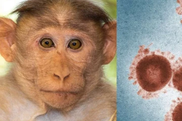 குரங்கு அம்மை வந்தால்  தனிமைப்படுத்துதல் கட்டாயம் : எங்கு தெரியுமா?