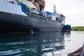 துறைமுக வளாக கப்பல் பழுதுபார்க்கும் தடாகத்தில் விழுந்த நபர்