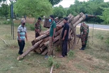 சட்டவிரோத மரக்கடத்தலில் ஈடுபட்ட ஒருவர் கைது