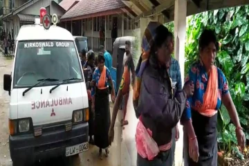 எதிர்பாராத குளவித் தாக்குதல்! 5 பெண்கள் வைத்தியசாலையில் அனுமதி