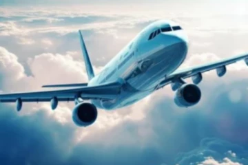 விமான பணிப்பெண்ணிடம் பாலியல் சேட்டை ; இந்திய இளைஞனுக்கு வழங்கப்பட்ட தண்டனை