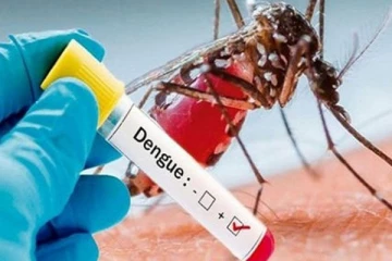 டெங்கு அபாய வலயங்களின் எண்ணிக்கை அதிகரிப்பு