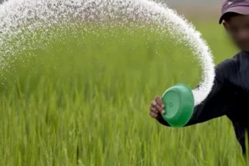 ගොවීන්ට පොහොර ලබා දෙන මිල ගණන් ගැන කෘෂිකර්ම ඇමති කියයි..