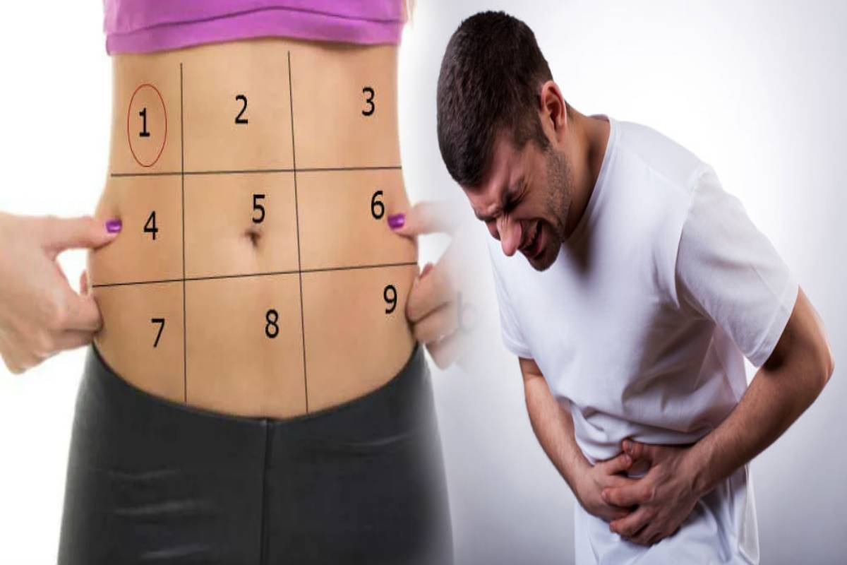 வயிற்றின் எந்த பகுதிகளில் வலி ஏற்படுவது ஆபத்து? இனியும் அலட்சியம் வேண்டாம்! | Stomach Pain Reasons In Tamil