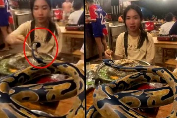 மலைப்பாம்புடன் டின்னர் டேட் சென்ற பெண்கள்! நெட்டிசன்களை அலறவிட்ட காட்சி