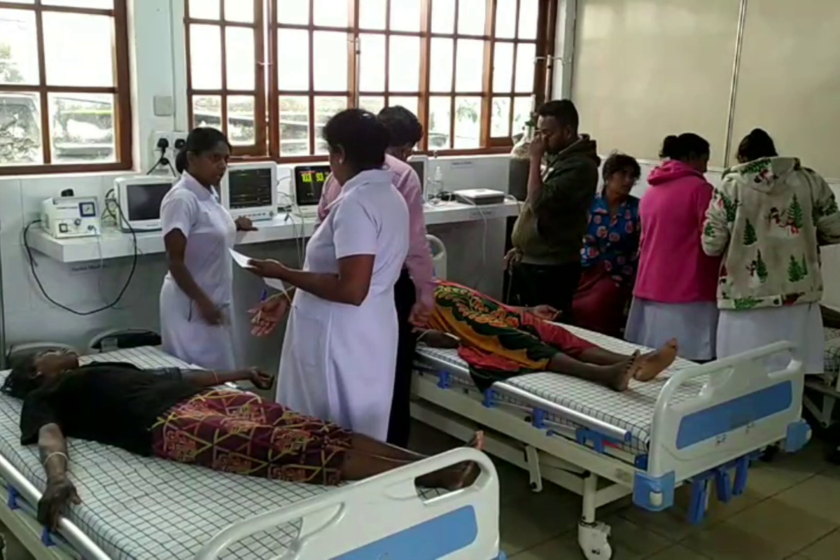 பொகவந்தலாவயில் தோட்டத் தொழிலாளர்கள் மீது குளவி தாக்குதல் | Wasp Attack On Plantation Workers பொகவந்தலாவயில் தோட்டத் தொழிலாளர்கள் மீது குளவி தாக்குதல் | Wasp Attack On Plantation Workers