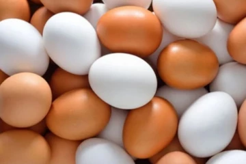 ලබන ජනවාරි සිට බිත්තර මිලට වෙන්න යන දේ මෙන්න..