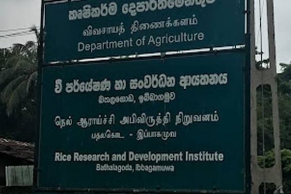 பொதுமக்களின் பார்வைக்காக திறந்து வைக்கப்பட்ட நெல் ஆராய்ச்சி நிறுவனம்! | Rice Research Institute Opened For Public Viewing