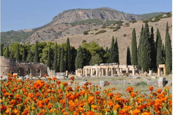 அங்கு செல்லும்  மனிதர்கள் மட்டுமல்ல... விலங்குகளும்  மீண்டுவருவது இல்லையாம்? கோவில்  ஒன்றின்  நடுங்க வைக்கும் பின்னணி! | The Trembling Background Of A Temple