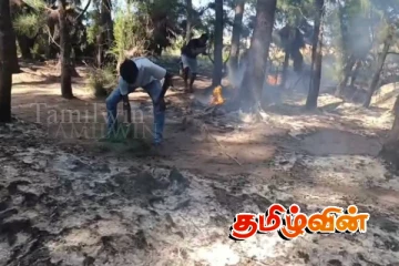 குருக்கள்மடம் கடற்கரைப் பகுதியில் திடீரென ஏற்பட்ட தீ