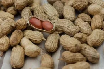 தினமும் ஒரு கப் இந்த கடலை சாப்பிடுவதால் உடலுக்கு கிடைக்கும் நன்மைகள் என்ன தெரியுமா? கட்டாயம் தெரிந்து கொள்ளுங்கள்