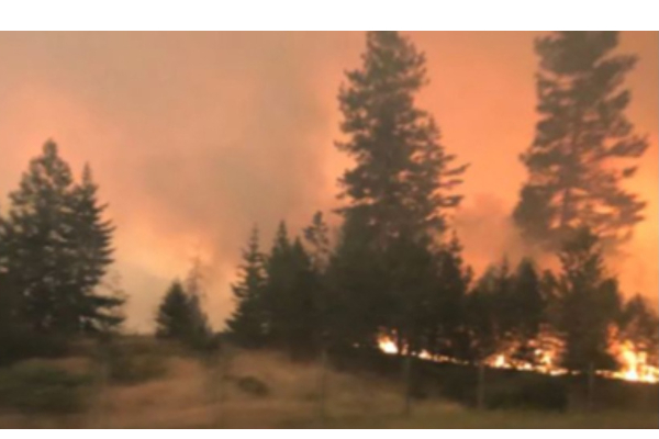 பிரிட்டிஷ் கொலம்பியாவில் பற்றி எரிந்து வரும் காட்டுத்தீ : அவசர அரசமாக மக்கள் வெளியேற்றம்! | World Viral News