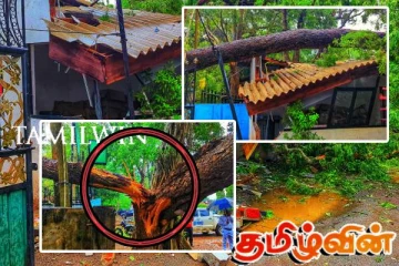 வவுனியாவில் மரம் முறிந்து வீழந்ததில் அரச விடுதி மற்றும் வர்த்தக நிலையம் சேதம்