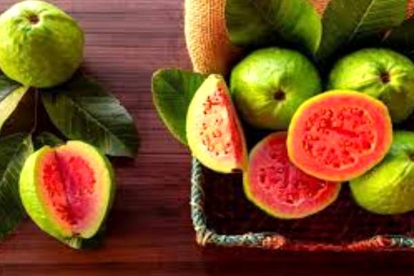 கொய்யப்பழ வைத்தியம்... இது மட்டும் தெரிந்தால் கொய்யாவை விடமாட்டிங்க! | Benefits Of Guava