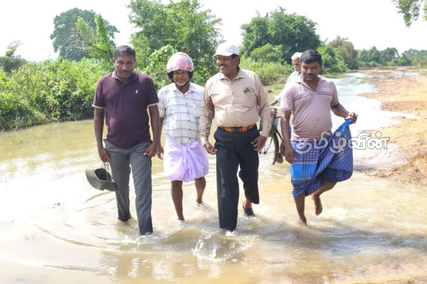 நெருக்கடியில் தண்ணிமுறிப்பு விவசாயிகள் - நேரில் சென்று ஆராய்ந்த ரவிகரன் எம்.பி | Farmers Crisis Ravikaran Mp Visited Investigated