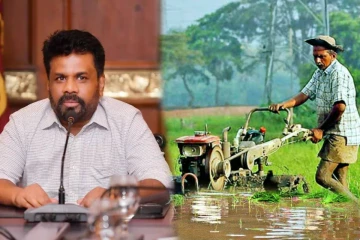 வயல் காணிகளை மீட்டுத் தருமாறு விவசாயிகள் அவசர கோரிக்கை!