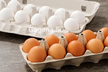 යළිත් බිත්තර මිල ඉහළට..? මිල ගණන් වෙනස් වන හැටි..