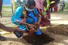 நானாட்டான் பிரதேச செயலாளர் பிரிவில் பத்து இலட்சம் மர நடுகை திட்டம் ஆரம்பித்து வைப்பு