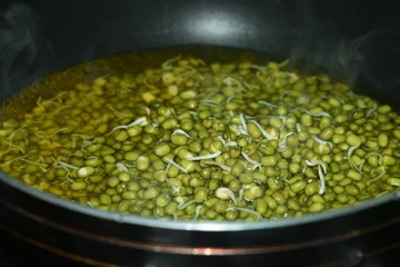 பச்சைப் பயறை ஊறவைத்துதான் சாப்பிடனும்... ஏன் தெரி்யுமா? இனி தெரிஞ்சிக்கோங்க