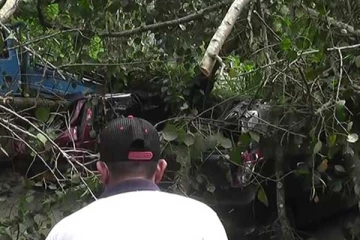 வாகனங்கள் மீது அடுத்தடுத்து முறிந்து விழுந்த மரங்கள்: இருவர் வைத்தியசாலையில்