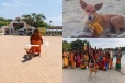 36 நாட்கள் பாத யாத்திரையை நிறைவு செய்து கதிர்காமம் வந்த "சுப்ரமணியம்"; இணையவாசிகள் மகிழ்ச்சி