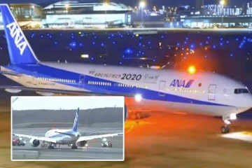 வெளிநாடொன்றில் விமானத்திலிருந்து திடீரென வெளியேறிய புகை - பீதியடைந்த பயணிகள்