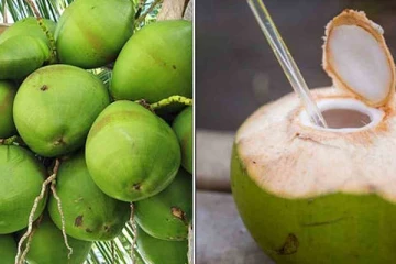 தினமும் இளநீரில் இதை கலந்து குடித்து வந்தால் இத்தனை நன்மைகளா? பலரும் அறியாத தகவல்கள் இதோ!